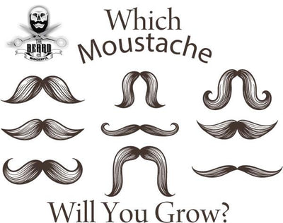 REMEMBER REMEMBER, ITS TIME FOR MOVEMBER